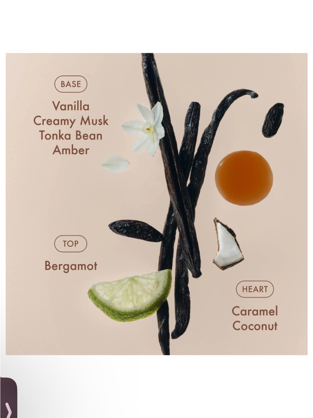 Summer Fridays Sunlit Vanilla edp – 10 mL